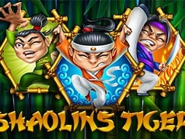 Shaolins Tiger screenshot