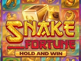 Snake Fortune Hold and Win screenshot