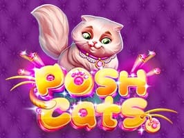 Posh Cats